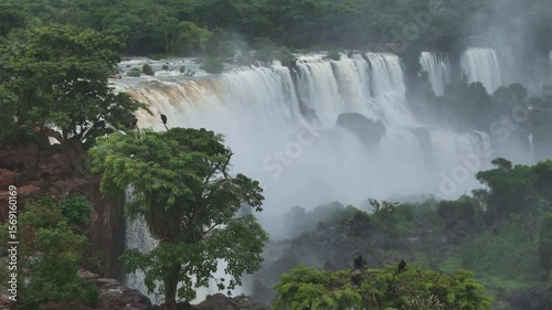 Lush green rainforest hugs the edge of Iguazu Falls as white water rushes below. Mist swirls above rocks and trees. The moving drone reveals dramatic scenery and powerful movement of water everywhere