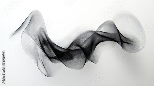 Abstract Black and White Wave Design with Flowing Lines and Curves