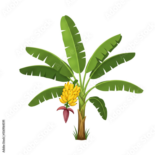 Lush tropical banana tree showcases vibrant yellow fruits and broad green leaves in an inviting naturalistic design.