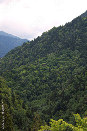 A house in the mountainous forest