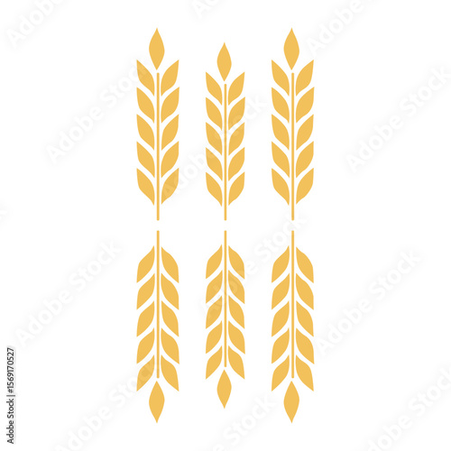 wheat ears isolated on white