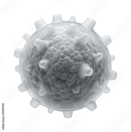 Dying cell with characteristic apoptotic morphology and intact plasma membrane