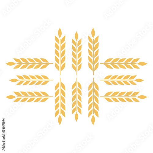 wheat ears isolated on white