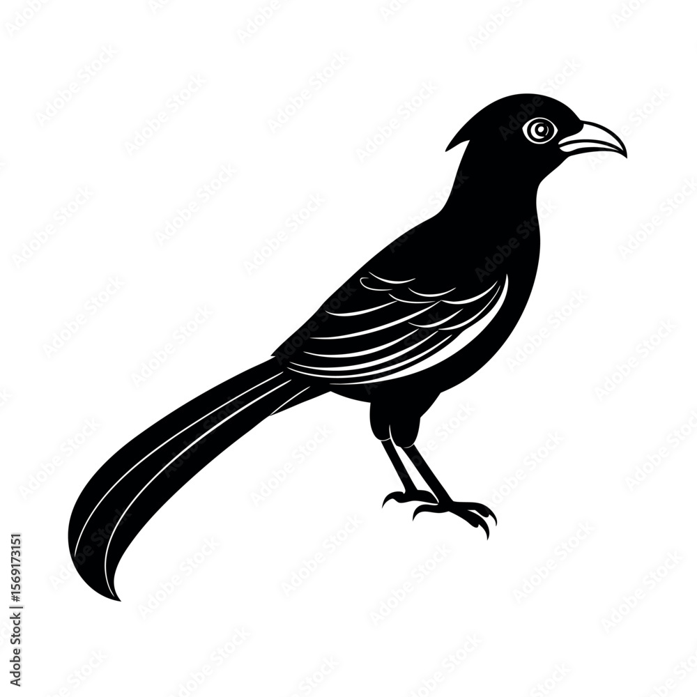 Obraz premium Blue Faced Malkoha Exotic Bird Clipart 