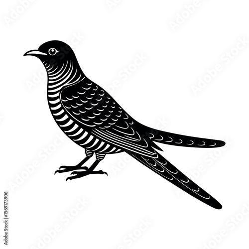 Common Cuckoo Flying Bird Design  