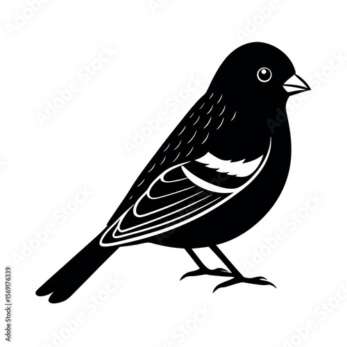 Lesser Goldfinch Yellow Bird Clipart  