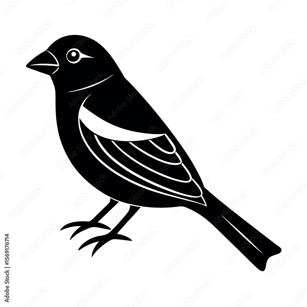 Obraz premium Pine Grosbeak Winter Songbird Vector 