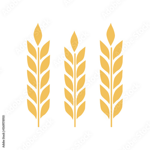 vector illustration of wheat ears