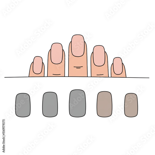 Square nails, five fingers, and manicure illustration depicts different nail shape options perfect for beauty salons, nail art tutorials, or cosmetic design.