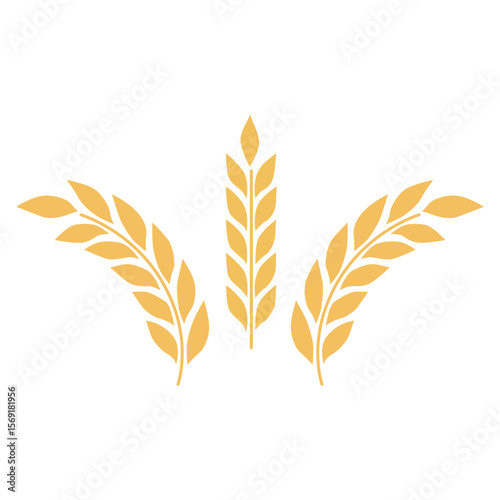 wheat isolated on white background