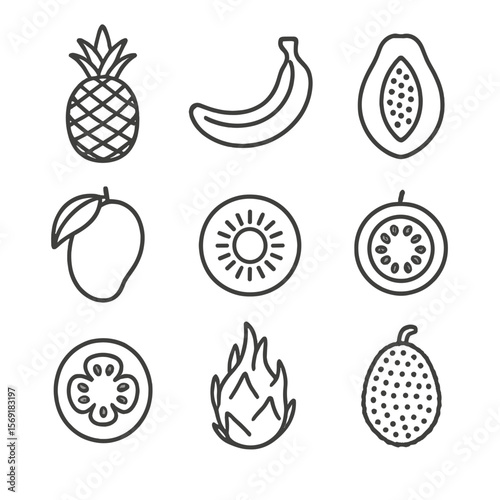 Tropical Fruits Icons. Line style icons of Tropical Fruits: pineapple, banana, papaya, mango, kiwi, passion fruit, guava, dragon