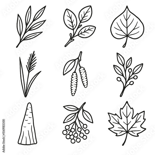 Riparian Vegetation Icons. Line style icons of Riparian Vegetation: willow branch, alder twig, cottonwood leaf, reed stalk, willow