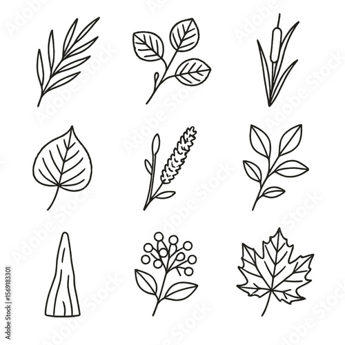 Riparian Vegetation Icons. Line style icons of Riparian Vegetation: willow branch, alder twig, cottonwood leaf, reed stalk, willow