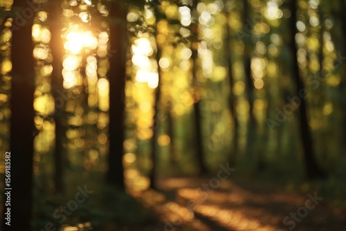 Fototapeta Naklejka Na Ścianę i Meble -  Golden sunbeams filter through a sunlit forest