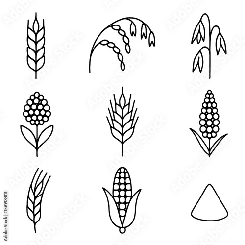Organic Grain Icons. Outline style icons of Organic Grain Varieties: wheat ear silhouette, rice grain cluster silhouette, oats