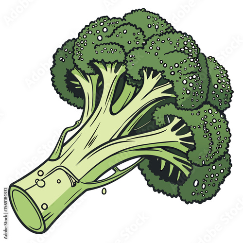Fresh Broccoli with Water Droplets Isolated on White