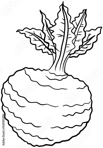 Kohlrabi Vegetable Vector Outline Line Art Drawing