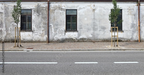 Fototapeta Naklejka Na Ścianę i Meble -  White cracked plaster wall with large pvc windows.  Small trees in stake supports on sidewalk, street in front. Background for copy space.