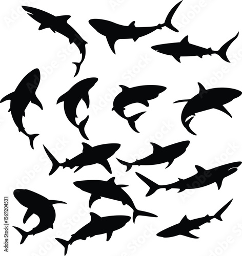 Dangerous hunter silhouette black and white shark isolated underwater killer 