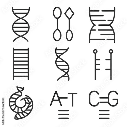 DNA Icons Design. Outline style icons of DNA Strand Basics: double helix, nucleotide pair, base sequence, DNA ladder, twisting