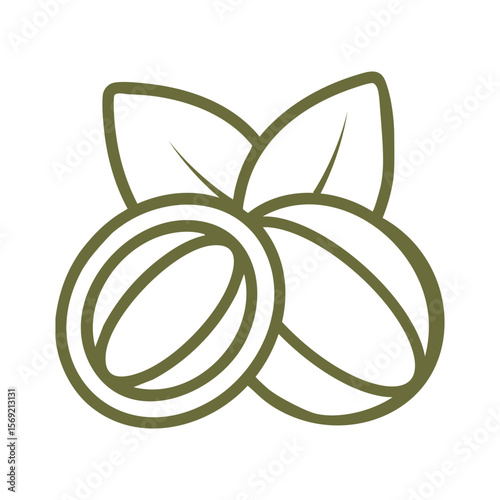Make a Professional Shea Nut Vector Art