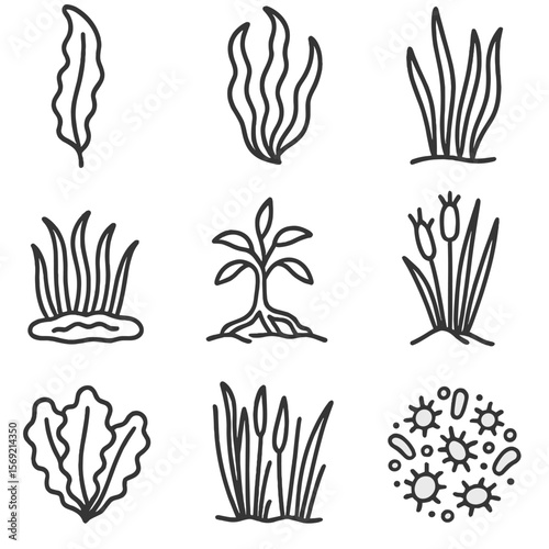Aquatic Plant Icons. Line style icons of Aquatic Plant Life: kelp blade, seaweed frond, eelgrass cluster, seagrass patch, algae