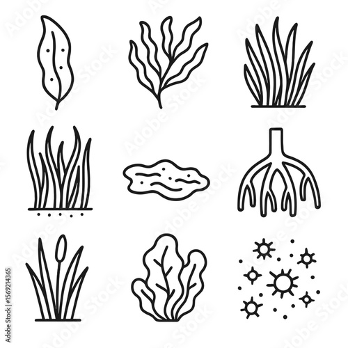 Aquatic Plant Icons. Line style icons of Aquatic Plant Life: kelp blade, seaweed frond, eelgrass cluster, seagrass patch, algae