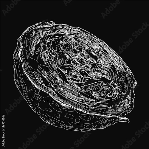 A detailed black and white drawing of a cabbage stands out against a dark background. The intricate texture and layered leaves are meticulously rendered, highlighting the vegetable's natural form.