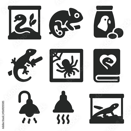 Exotic Pet Icons. Solid style icons of exotic pets: snake in terrarium, chameleon, parrot food, gecko on branch, tarantula cage,