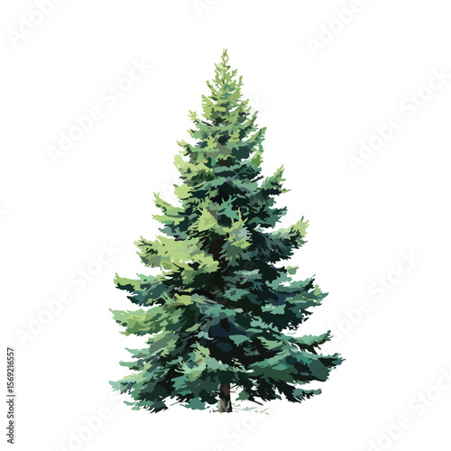 pine tree isolated in White Background, pine tree vector, Flat lay vector illustration