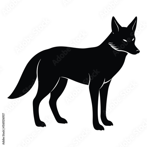 Alert Jackal Silhouette White Background Vector Graphic