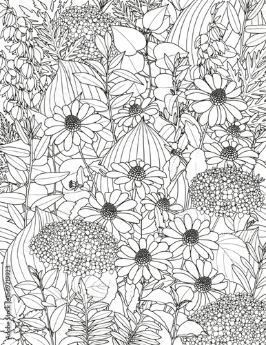 Abstract floral background. Bouquet of different flowers. Coloring page.