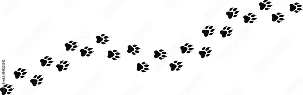 Fototapeta premium Paw print of dog or cat. Paws foot print trail. Paw vector foot trail print of cat. Dog path pattern animal tracks. Paw print silhouette vector art illustration