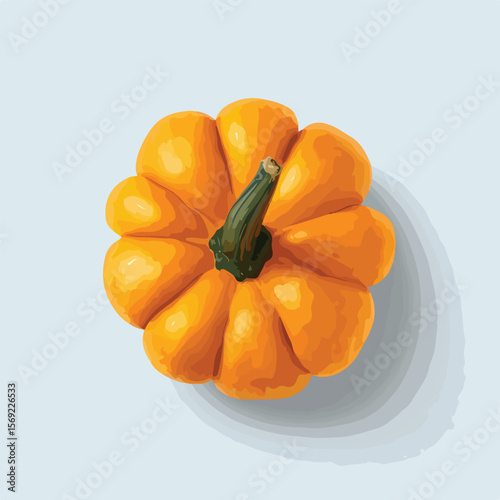 pumpkin isolated in White Background, pumpkin vector, Flat lay vector illustration