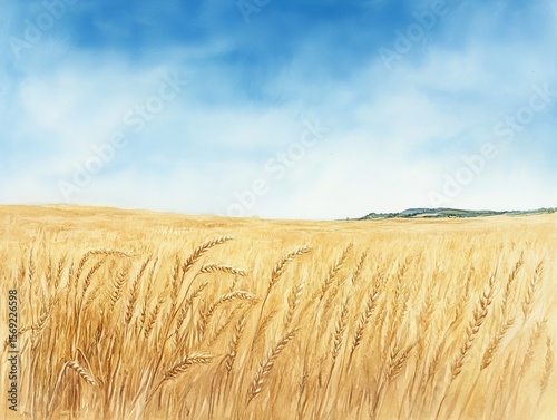 A watercolor painting of a wheat field against a clear blue sky.
