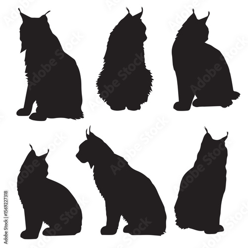 bobcat silhouette set, Black & White silhouette set 