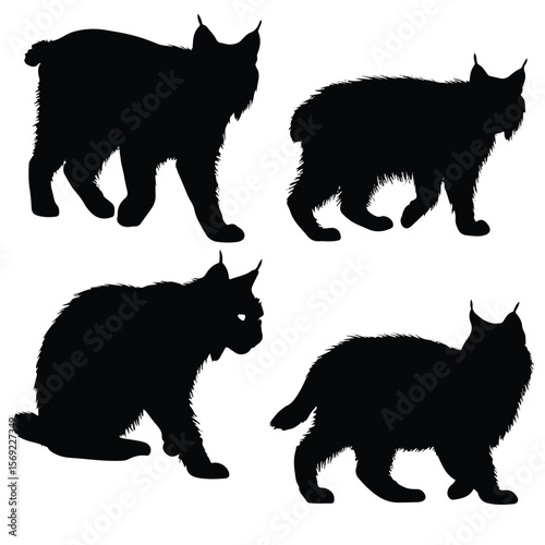 bobcat silhouette set, Black & White silhouette set 