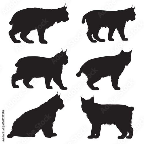 bobcat silhouette set, Black & White silhouette set 