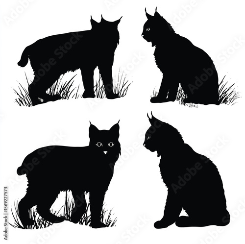 bobcat silhouette set, Black & White silhouette set 