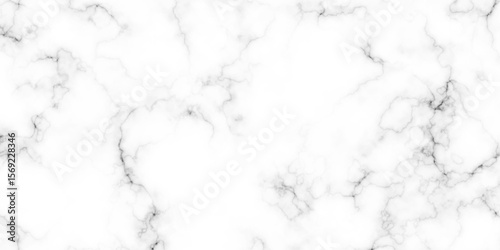 High-Resolution White Marble Texture with Soft Veining