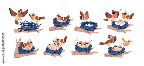 Bird family in nest, set. Songbirds on tree branch, building stick house, hatching eggs, couple with chicks, feeding with worm, caring, singing. Flat vector illustrations isolated on white background