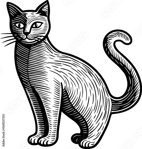 Engraved illustration of a standing cat vintage feline with curved tail and detailed fur texture drawing