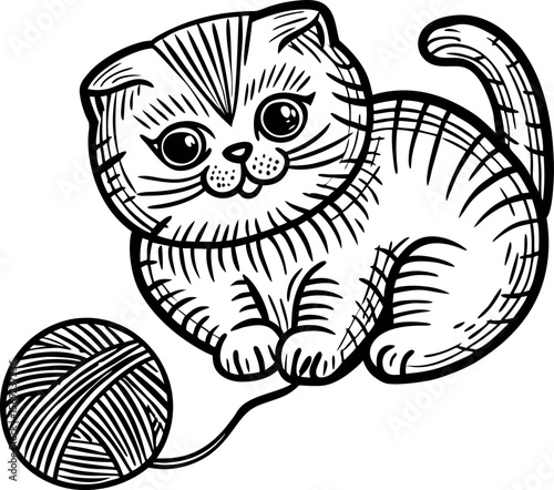 Cute kitten with yarn ball hand drawn black and white illustration of playful cat and wool thread skein
