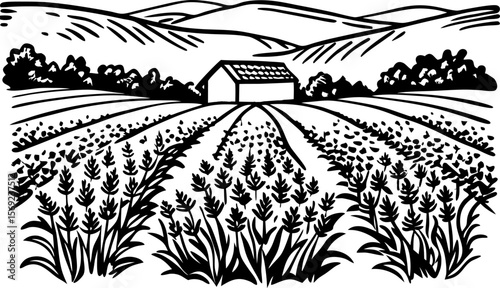 Farm hillside landscape illustration with barn and cultivated fields countryside agriculture, rural scene, mountain view