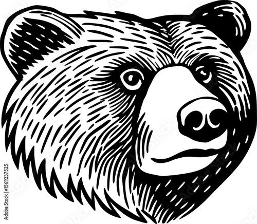 Grizzly bear head illustration, hand drawn wild animal portrait in black and white, nature, wildlife symbol