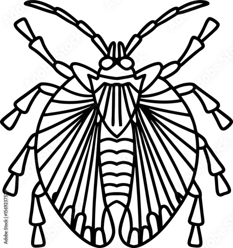 Insect outline illustration with geometric patterns stylized bug line art, symmetrical detailed wings and antennae design
