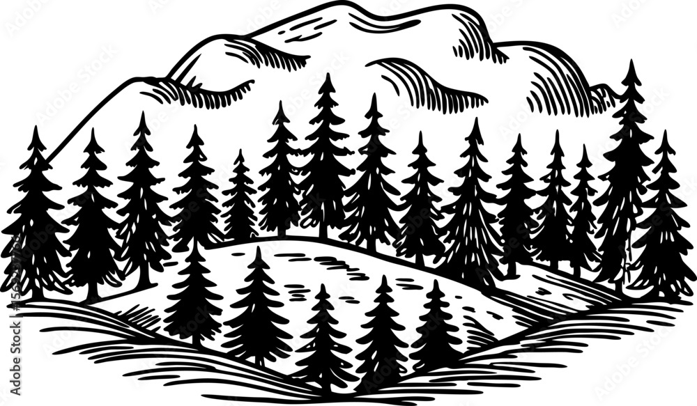 Mountain landscape with evergreen pine trees, hand drawn woodland forest silhouette in nature scenery illustration