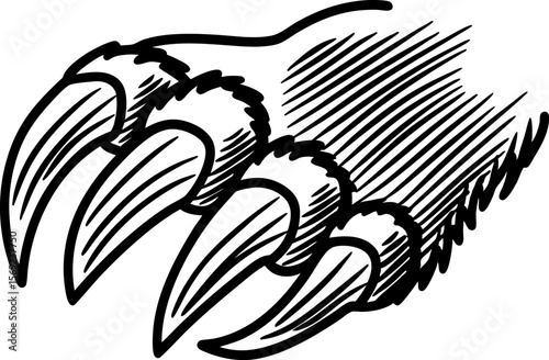 Wild animal paw with sharp claws, sketch illustration of beast limb ferocious, predatory creature hand, dangerous talon