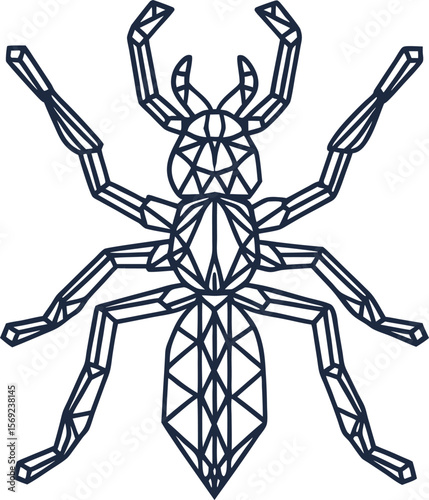 Geometric spider illustration modern line art arachnid, abstract insect design with polygon shapes and symmetry