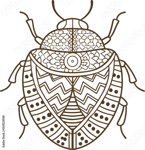Intricate beetle illustration with decorative zentangle patterns, symmetry and mandala line art details